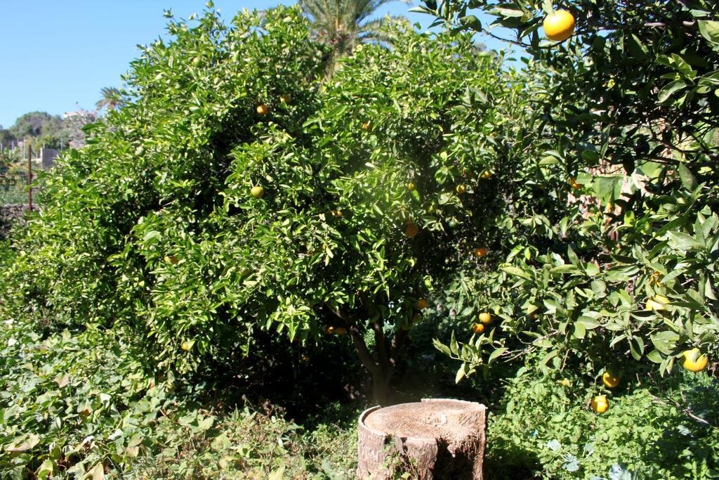 Casa Rural El Liron 因赫尼奥 客房 照片
